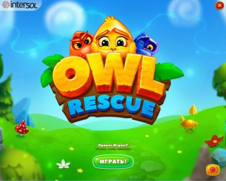 Постер к Owl Rescue (2017)