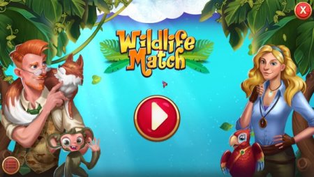Постер к Wildlife Match (2021)