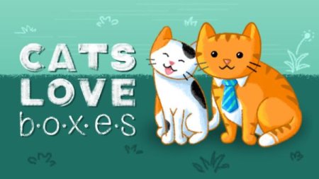 Постер к Cats Love Boxes (2024)